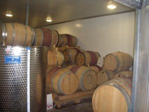 Barrels in Tzuba Winery