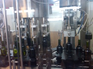 Bottling at castel3