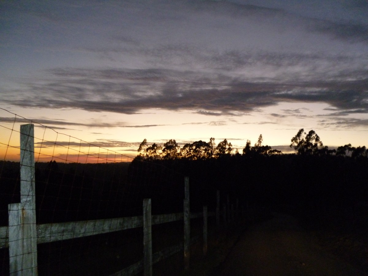 Four Gates Winery’s January 2024 new releases Wine Musings Blog