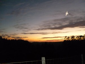 Sunset overlooking the ocean and Four Gates Winery Vineyard