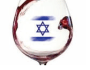 International Wine Review covers Israeli Wines in&nbsp;Depth!