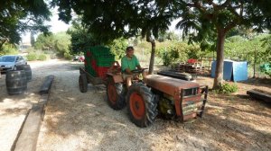 Herzberg winery on crush day