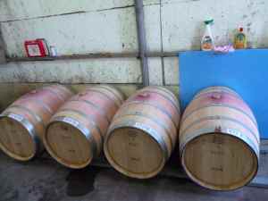 Lewis Pasco's barrels in Beit El Winery-small