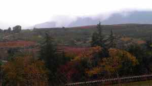 Vineyards around Netofa-small