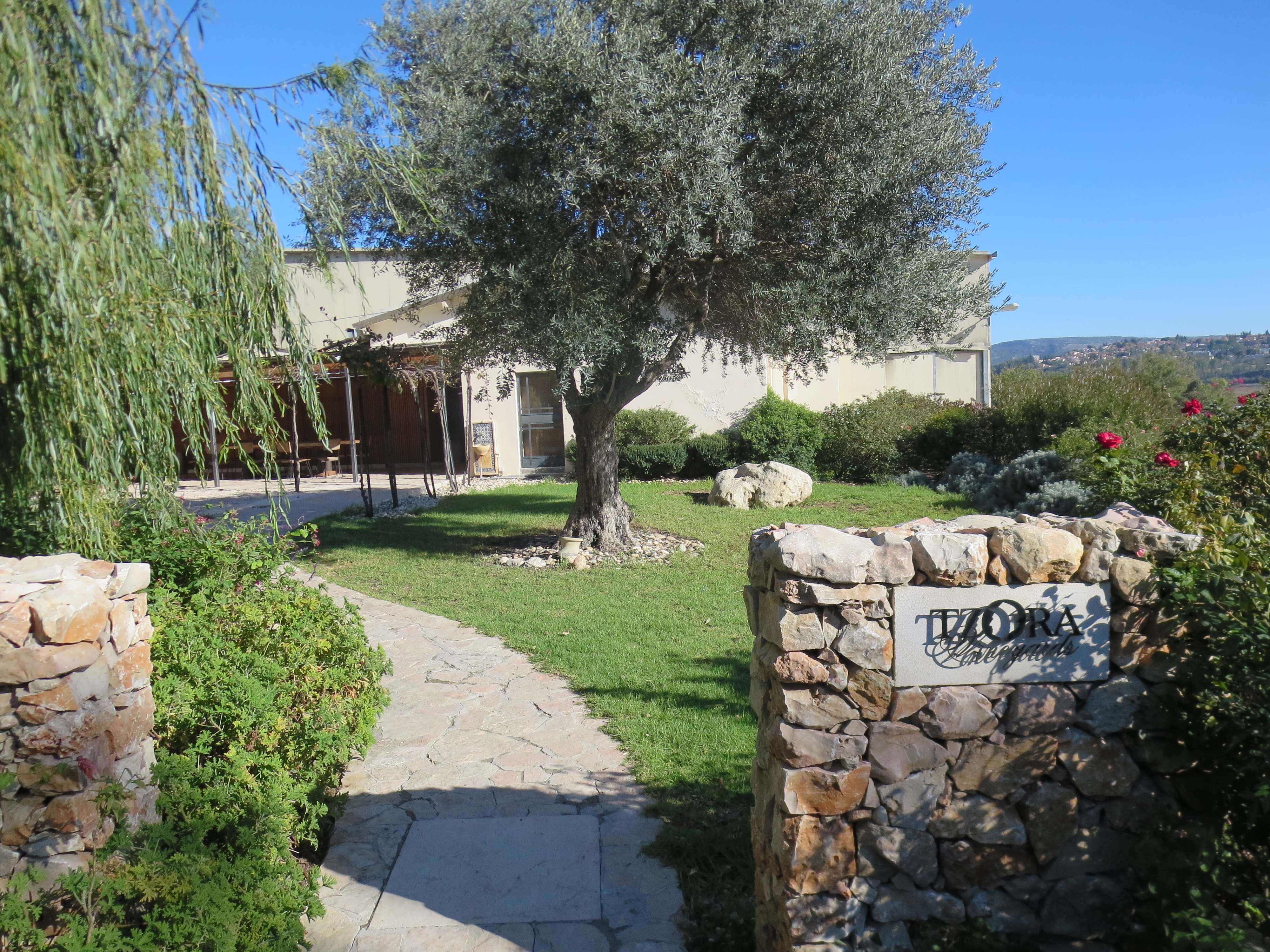 Tzora Winery 4