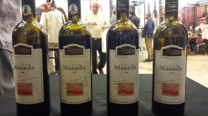 Gvaot Masada Vertical