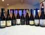 A lineup of the available 2018 kosher Pinot Noirs from around the&nbsp;world