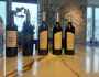 The Best and Top 25 Kosher Wines of 2024, including the Wine of the Year, Winery of the Year, the Best Wine of the Year, the Best Mevushal Wines of the Year, and Best QPR Wine of the Year&nbsp;Awards